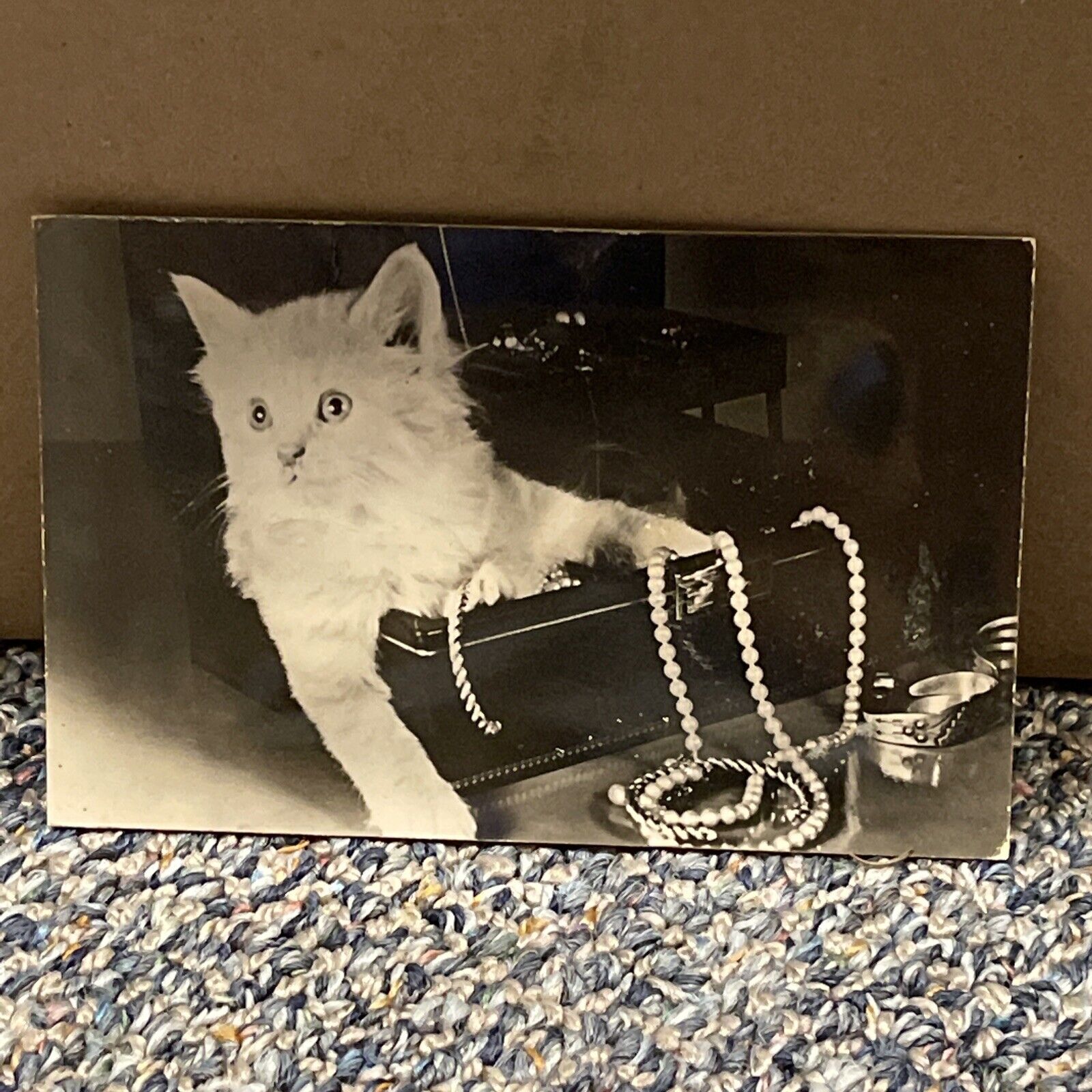Squeaker Postcard Cat in Jewelry Box Rhodania Lyon Unposted Vintage 