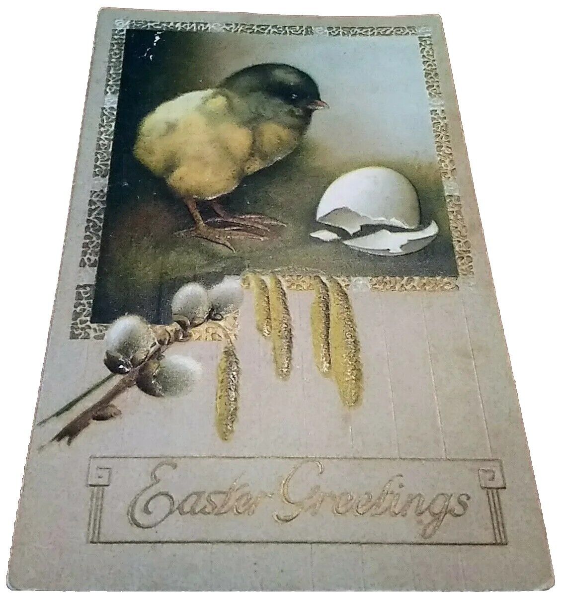 1910 Easter Postcard Hatching Chick White Yellow Flowers