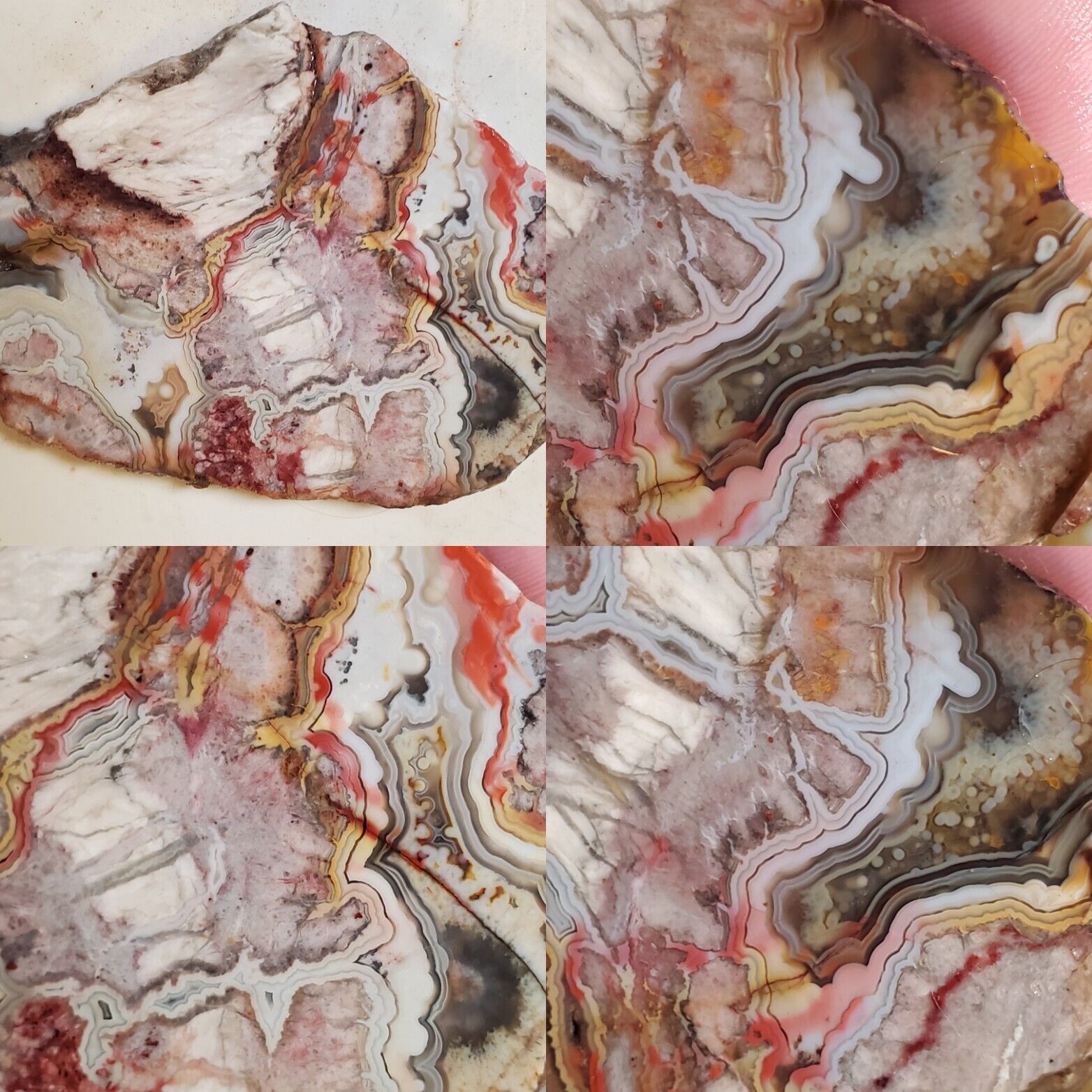 AAA ++ Red Crazy Lace Agate Laguna Lace Banded Agate Mexico Rough 140g Lapidary