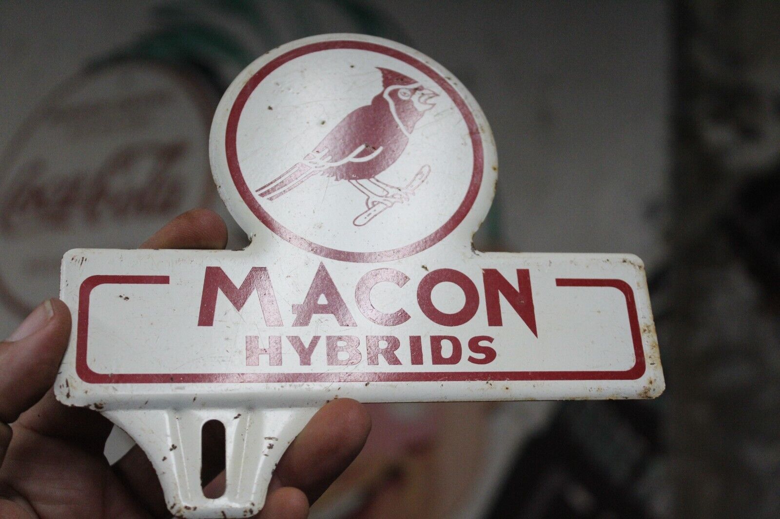 1950s MACON HYBRIDS STAMPED PAINTED METAL TOPPER SIGN SEED CORN CARDINAL BIRD