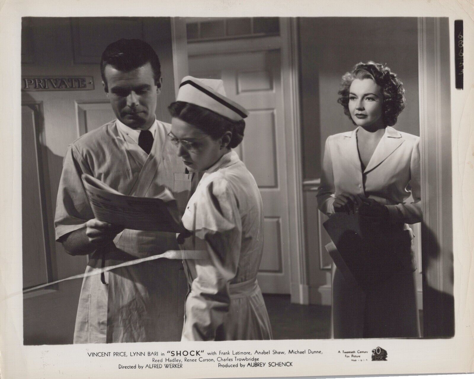 Lynn Bari + Anabel Shaw + Stephen Dunne in Shock (1946) 🎬⭐ Vintage Photo K 312