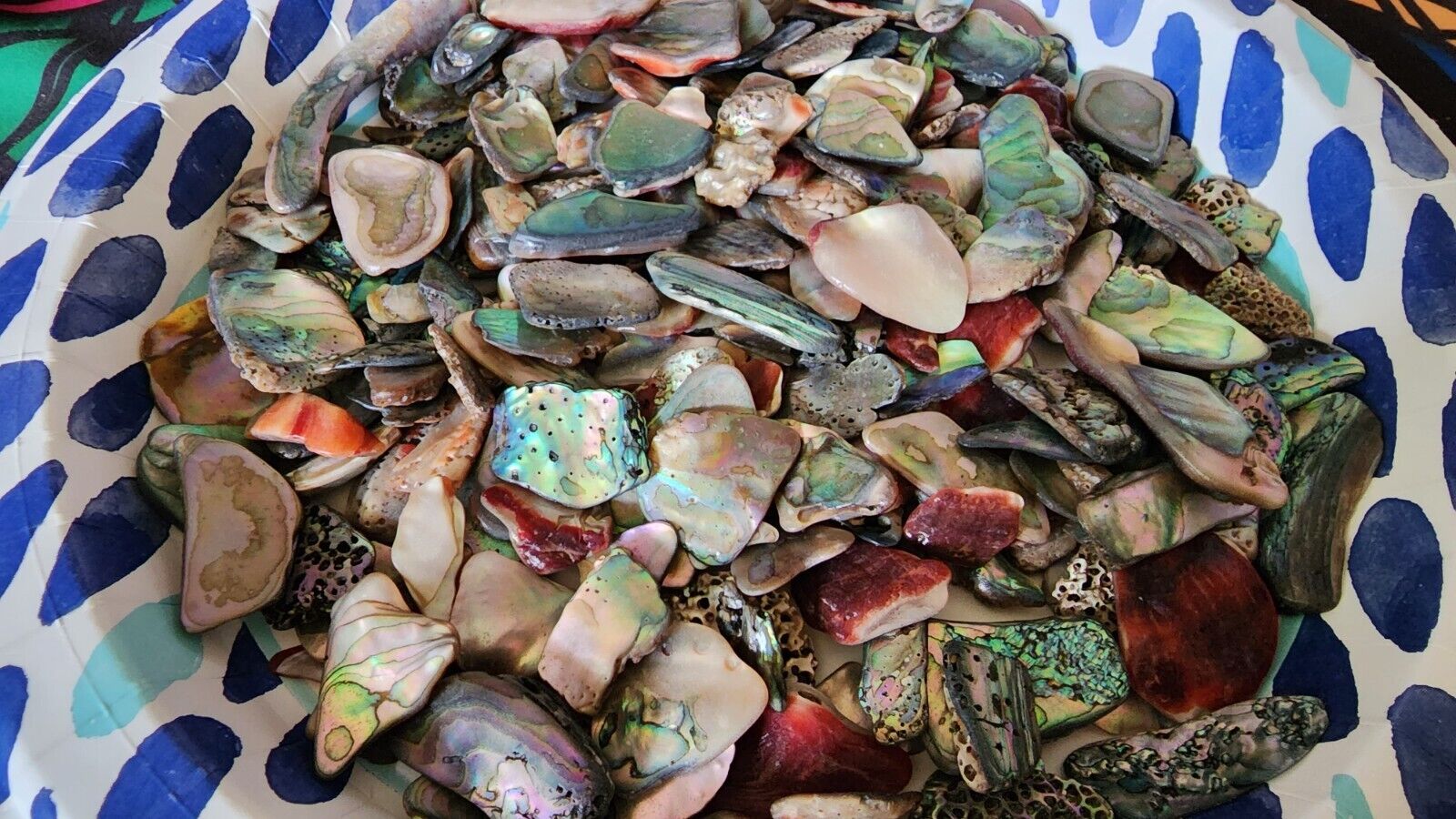 Polished Red Abalone Shell Pieces: Small to Medium Sizes 1/4 lb Bag