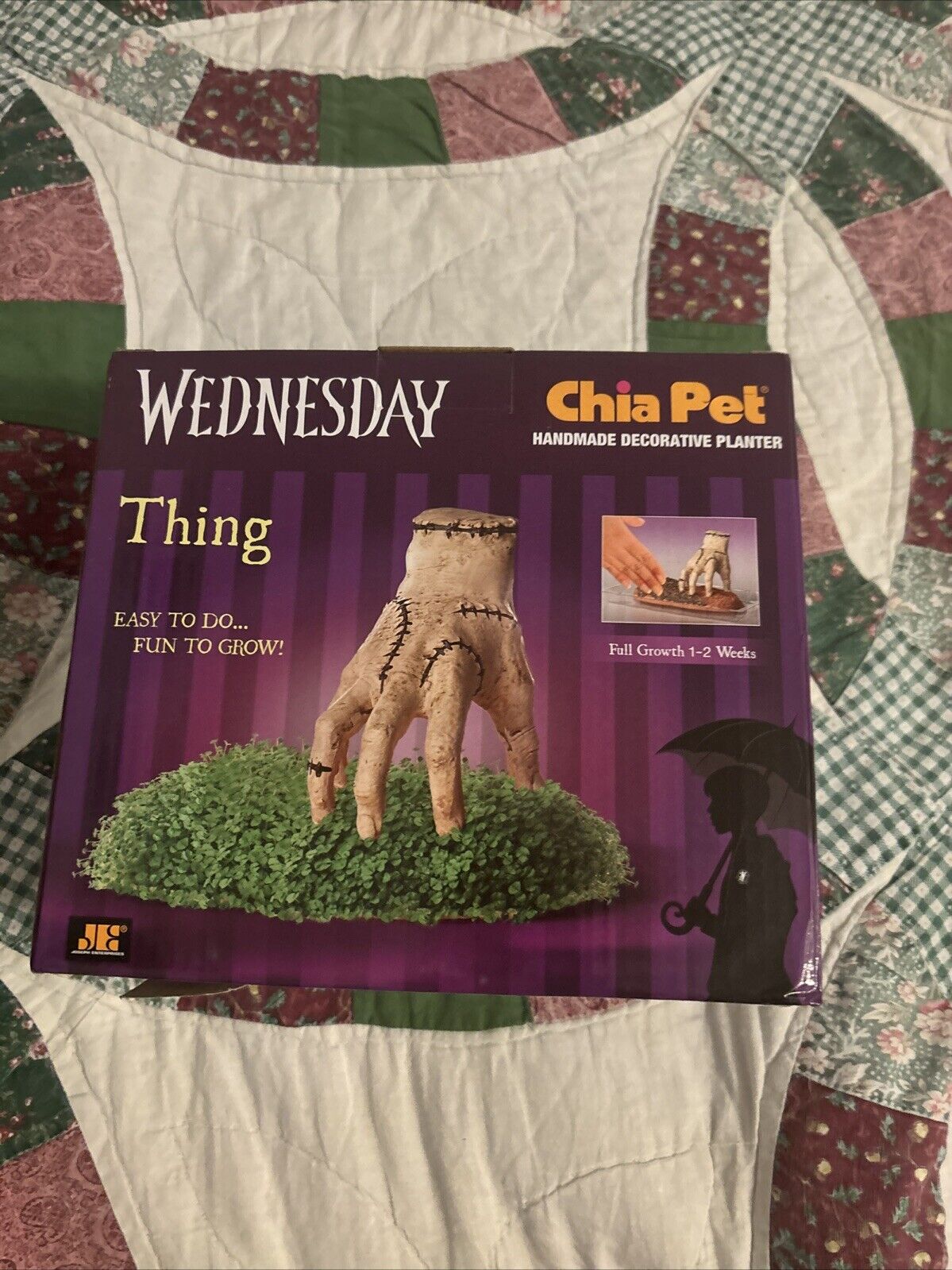 Wednesday Addams “Thing” Chia Pet COLLECTIBLE