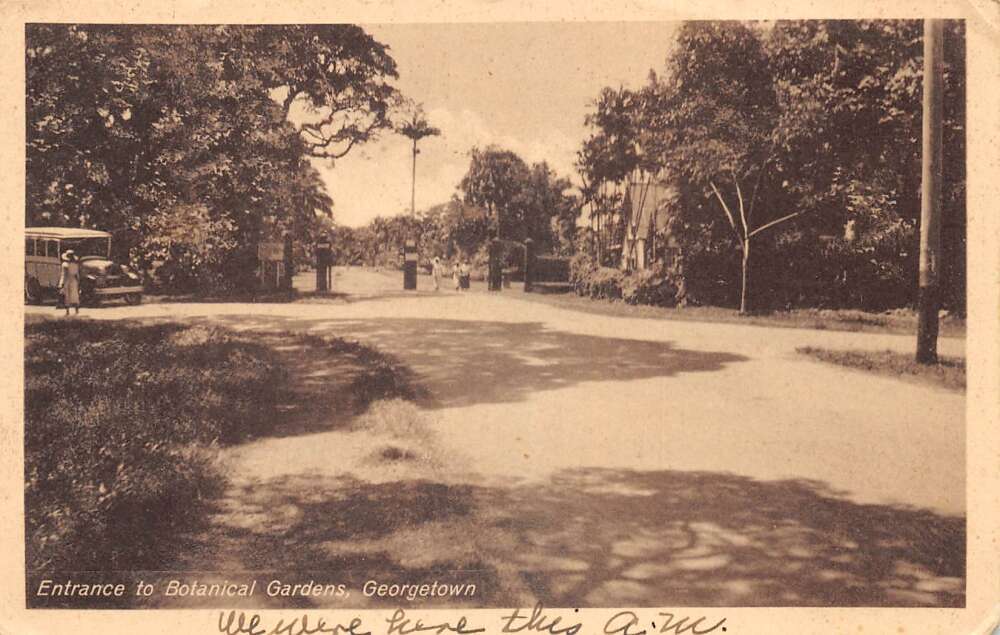 Georgetown British Guiana Guyana Botanical Gardens Entrance Postcard AA66190