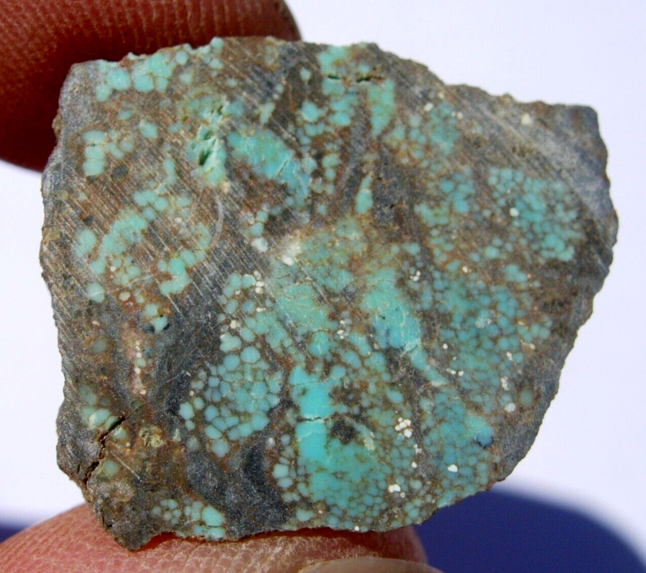 3.81 grams stabilized TYRONE Turquoise slice mined outside of Silver City, NM.