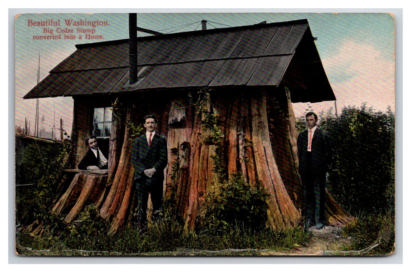 Everett Washington A Home in a Cedar Stump 1908