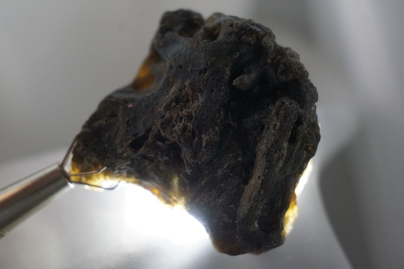 Darwin Glass - 26g - Austalite - Darwinite - tektite - impactite #big20.