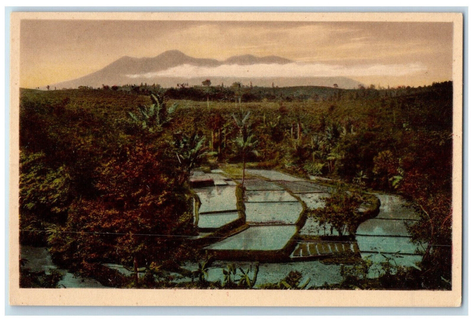 c1920\'s Rice Field Before Planting Volcano View Unposted Antique Postcard