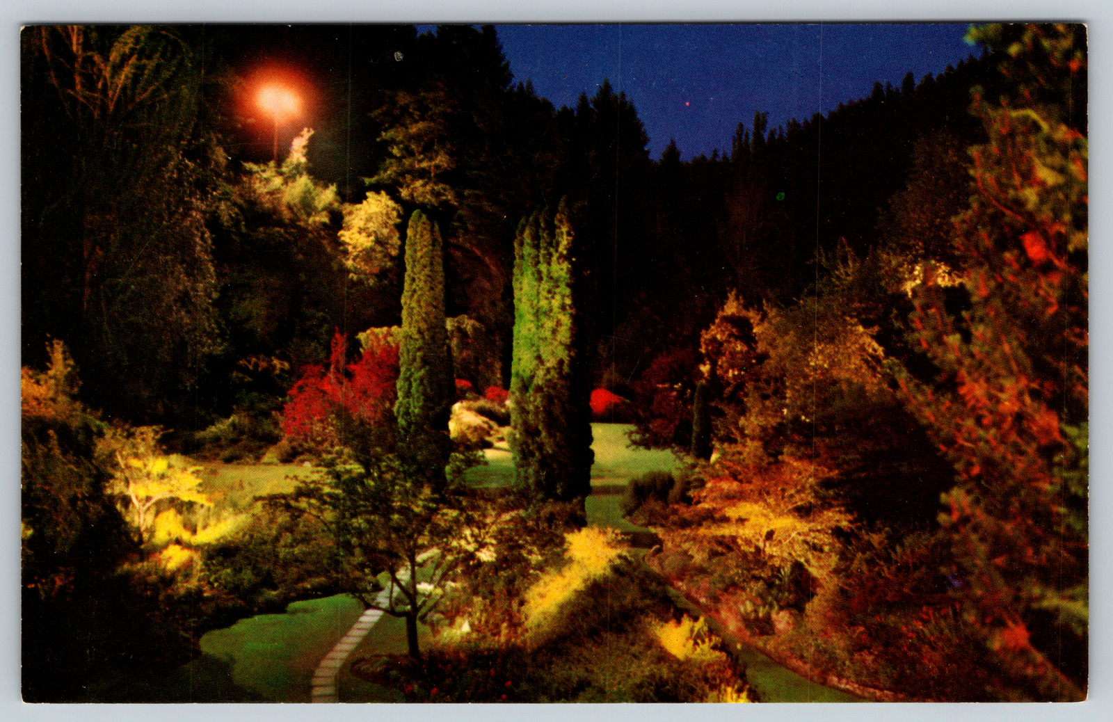 c1960s Victoria B.C. Canada Butchart Gardens Night View Vintage Postcard