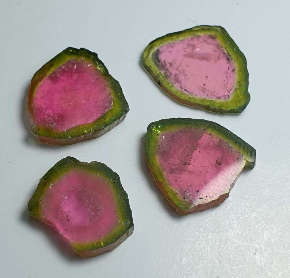 Polished watermelon tourmaline slices - 17 carats