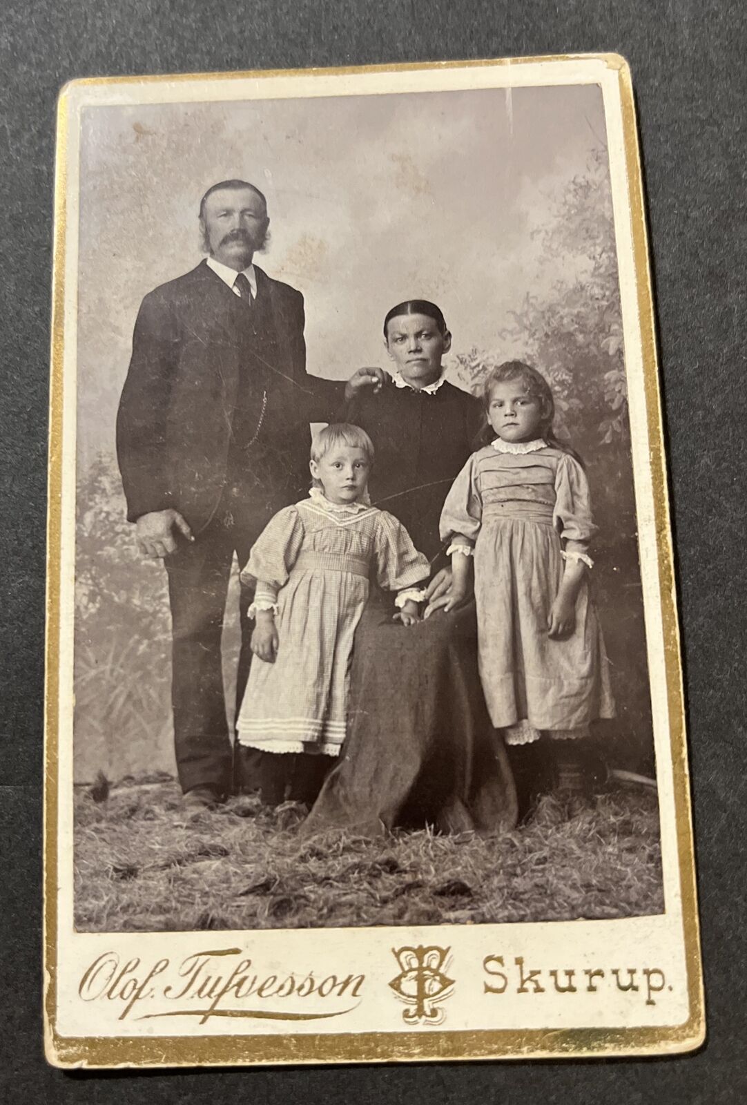 Vintage Cabinet Card of Wonderful Young Family-Children- Olaf Tufvesson-Skurup