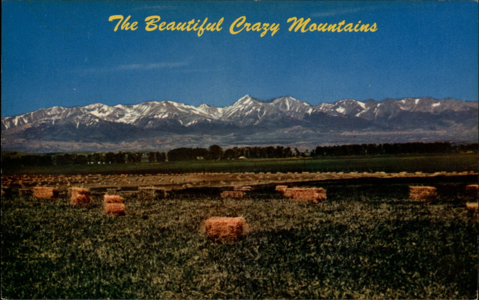 Crazy Mountains Montana ~ snow capped ~ straw bales in field ~ postcard sku261