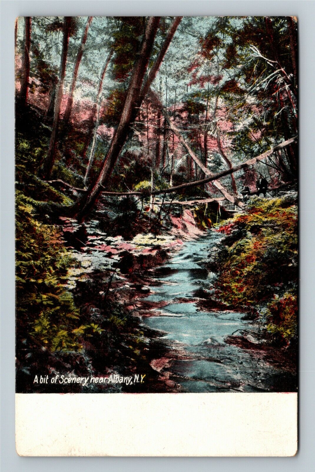 Albany NY-New York, Scenic Creek View Near Albany Vintage Souvenir Postcard