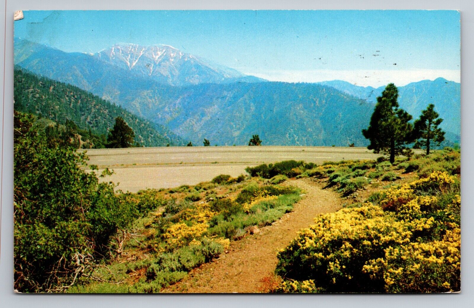 Mountain Trail Through Wild Flowers Vintage Postcard Posted Fullerton California
