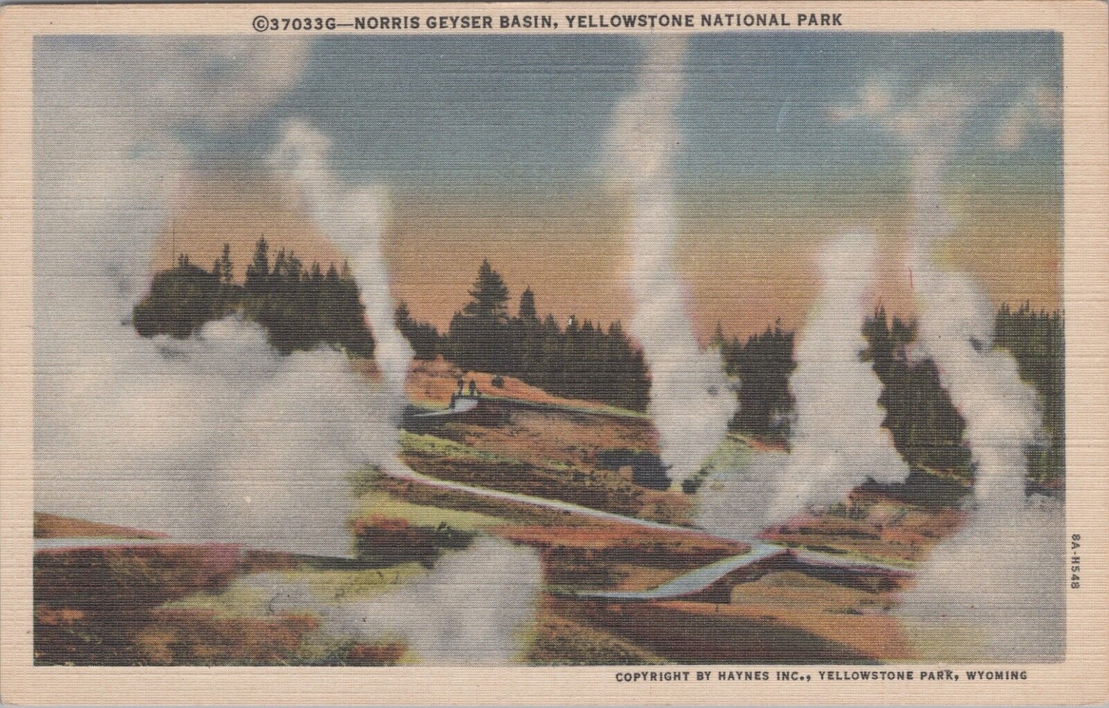 Norris Geyser Basin Yellowstone National Park Postcard