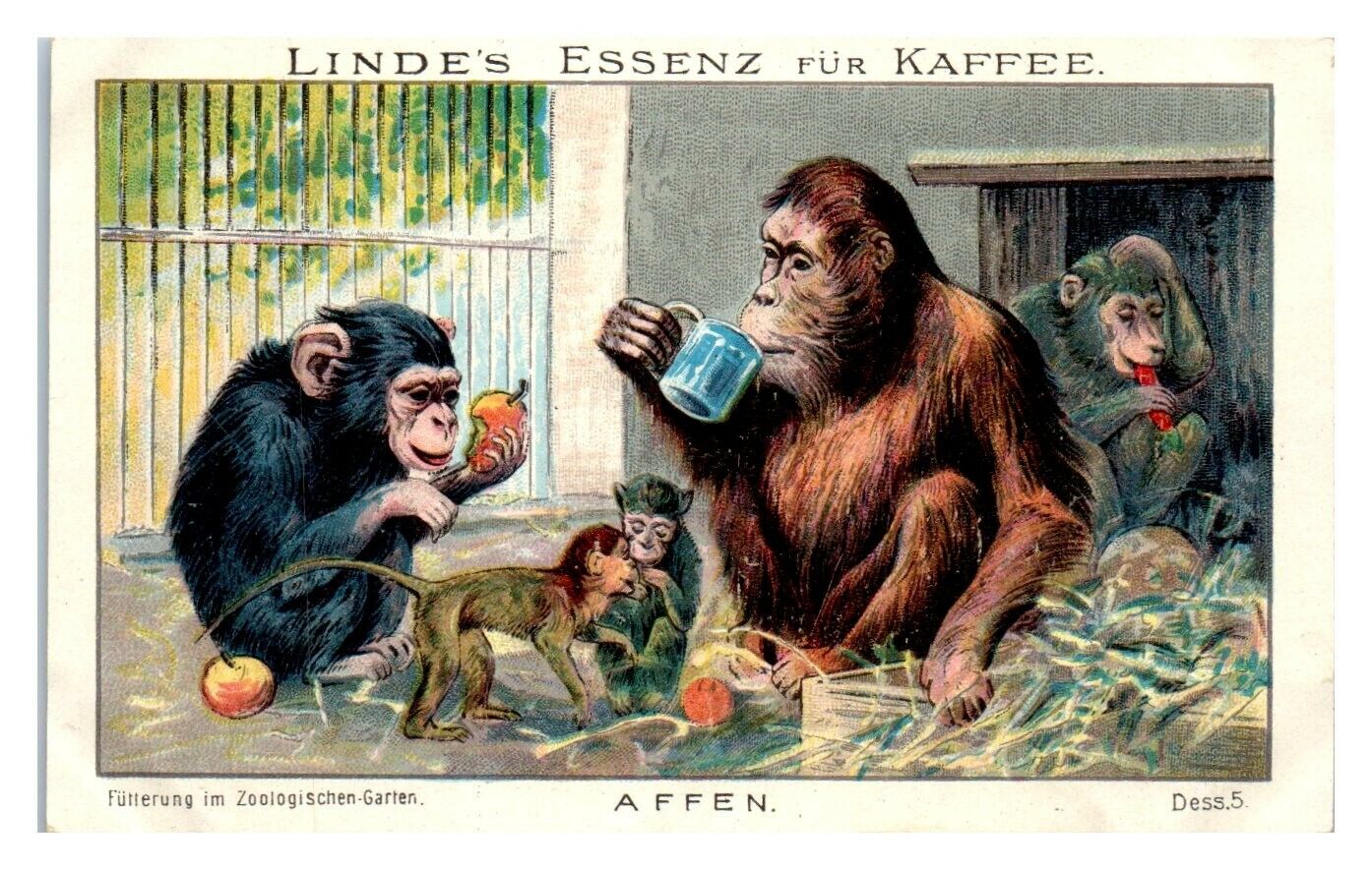 Monkeys, Linde\'s Essenz fur Kaffee German Trade Card *VT27C