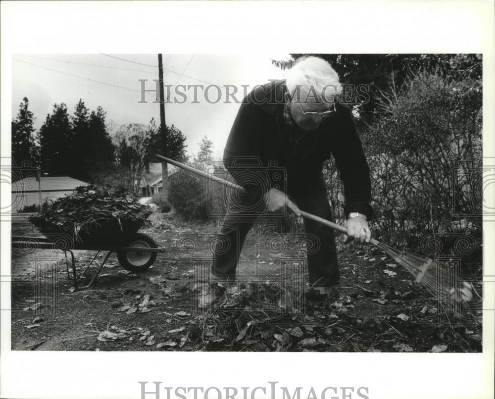 1991 Press Photo Autumn Scene Gordon Simpson Rakes Pine Needles and Maple Leaves