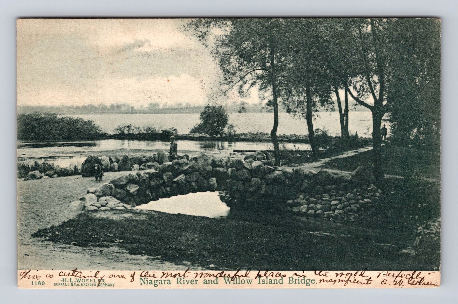 Niagara River NY-New York, Willow Island Bridge, Antique, Vintage c1906 Postcard