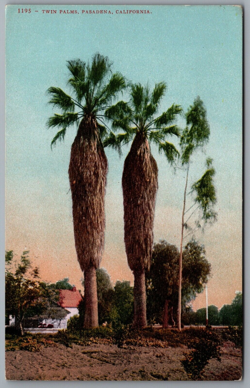 Twin Palms Pasadena CA Postcard c1910s Edward Mitchell No. 1195