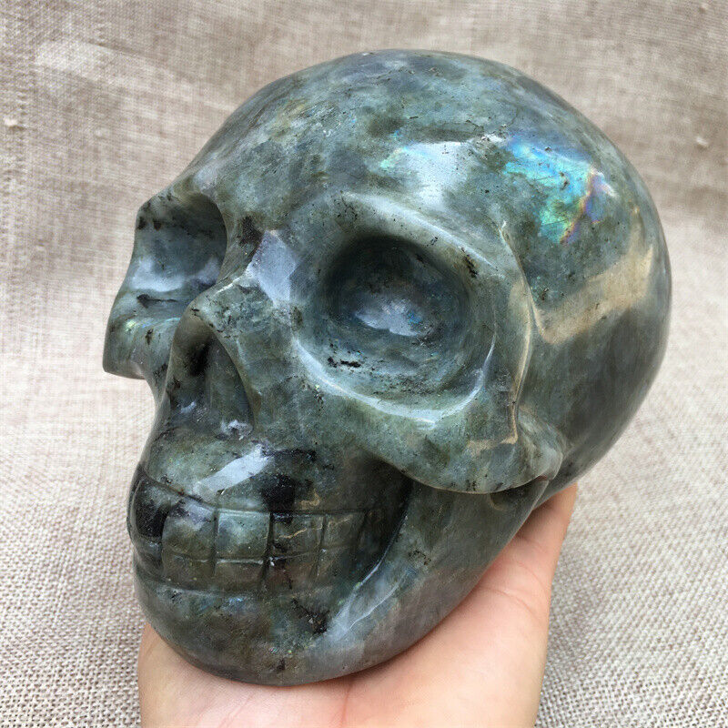 6.02LB TOP Natural labradorite quartz hand carved crystal skull reiki healing