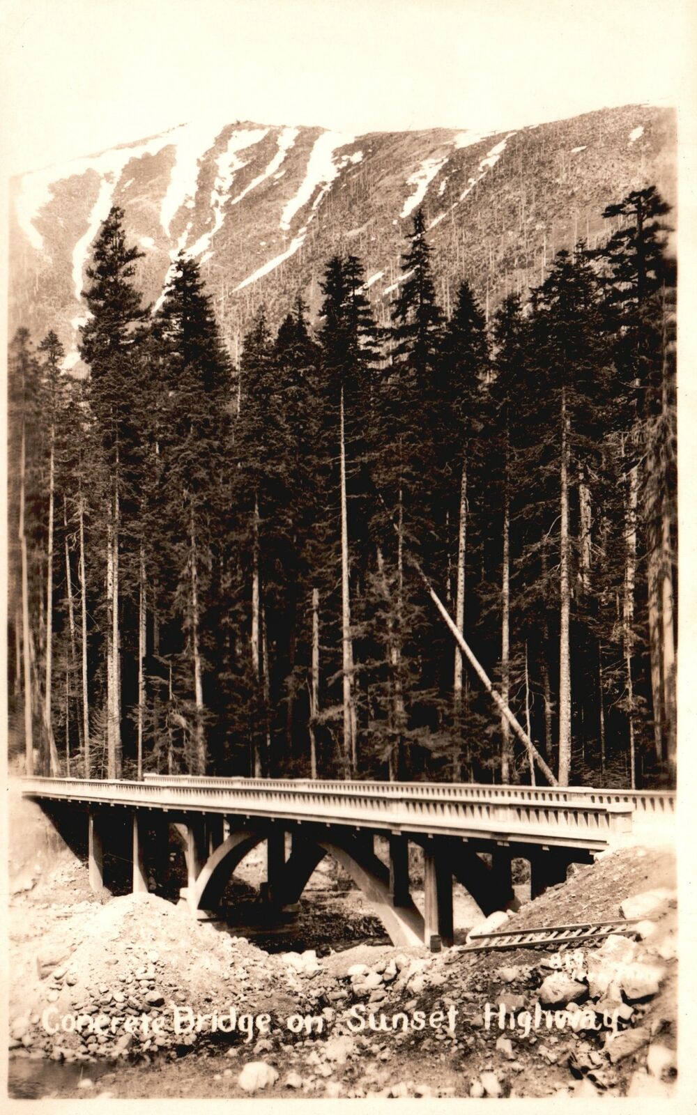Postcard Concrete Bridge On Sunset Highway Beautiful View Pine Trees RPPC Photo
