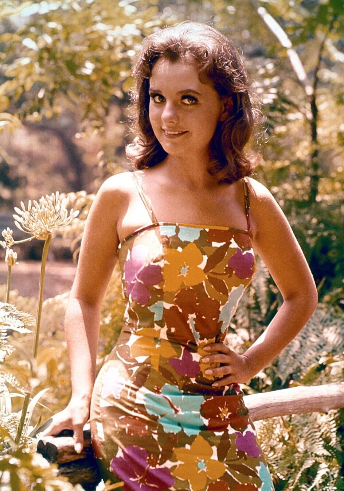 “Dawn Wells” Stunning Actress/Gilligans Island 5X7 Color Glossy “Maryanne” NEW💋