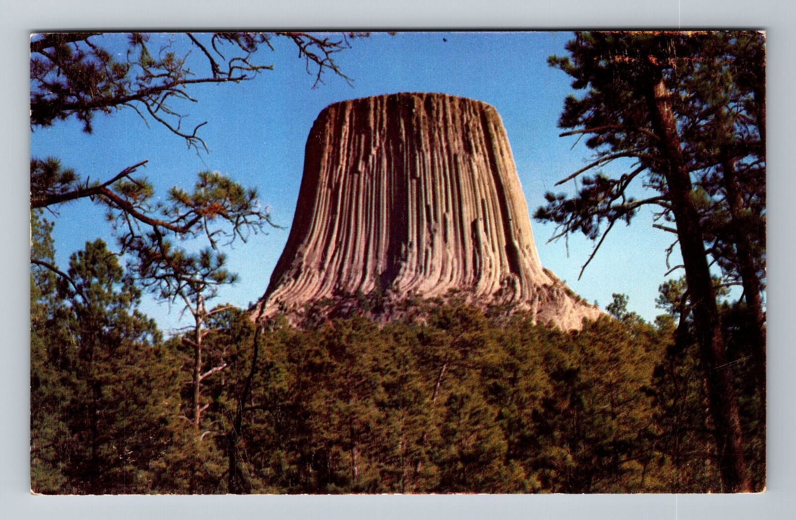 WY-Wyoming Devil\'s Tower National Monument Antique Vintage Souvenir Postcard