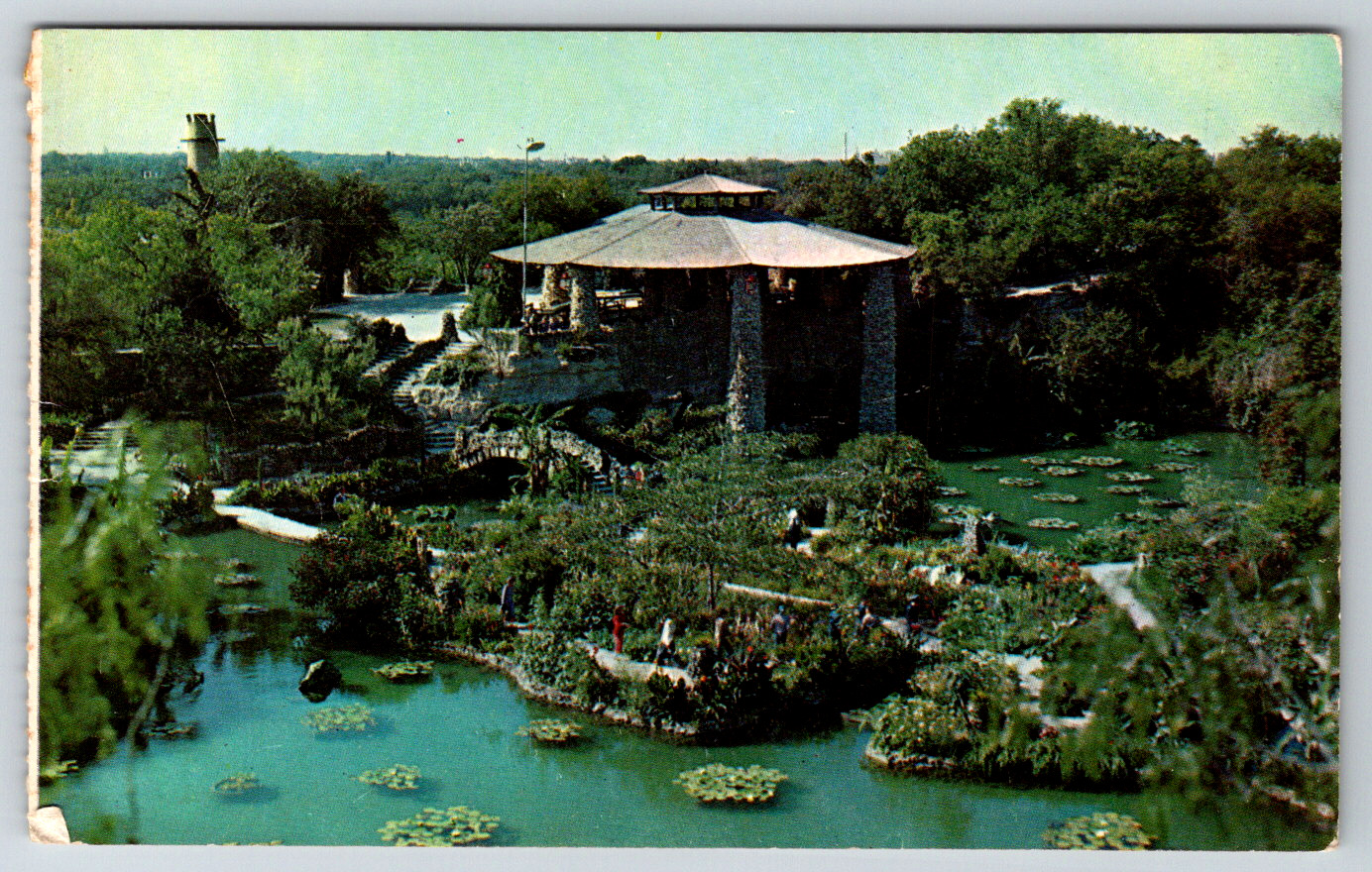 c1960s Chinese Tea Garden San Antonio Texas Brackenridge Park Vintage Postcard