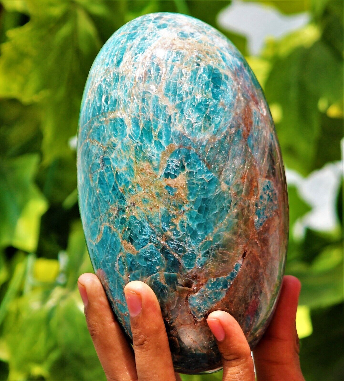 170MM Large Blue Apatite Crystal Gemstone Healing Energy Stone Lingam Specimen