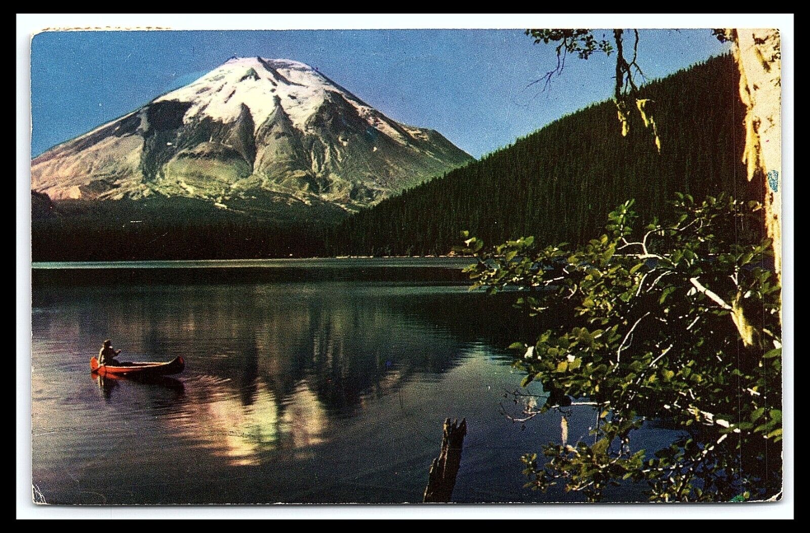 Mt. St. Helens Spirit Lake Postcard Cascade Range Washington Posted 1959 pc270