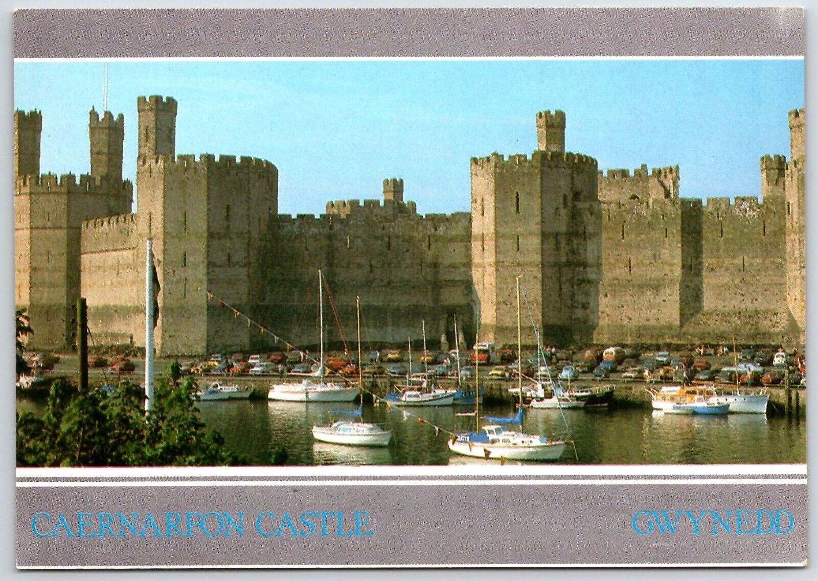 Continental Size Postcard - Caernarfon Castle - Gwynedd - Wales United Kingdom