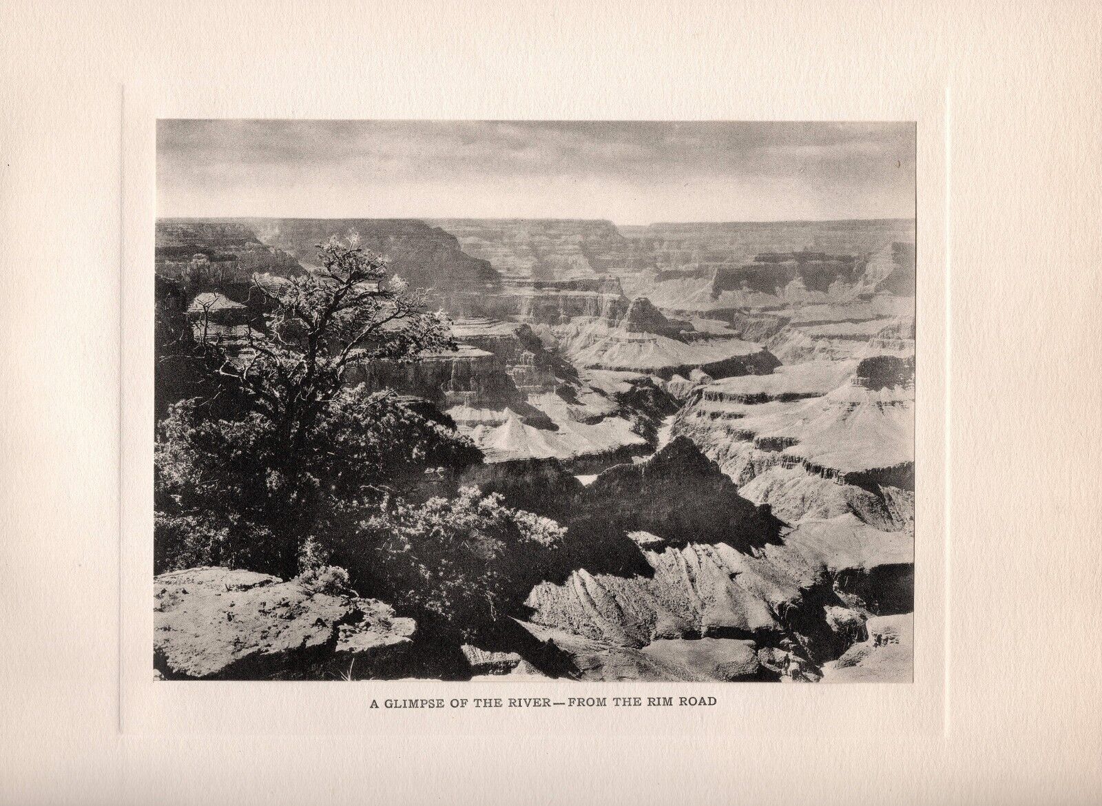 1910 Photogravure, Glimpse of the River from Rim Road, Grand Canyon, Karl Moon