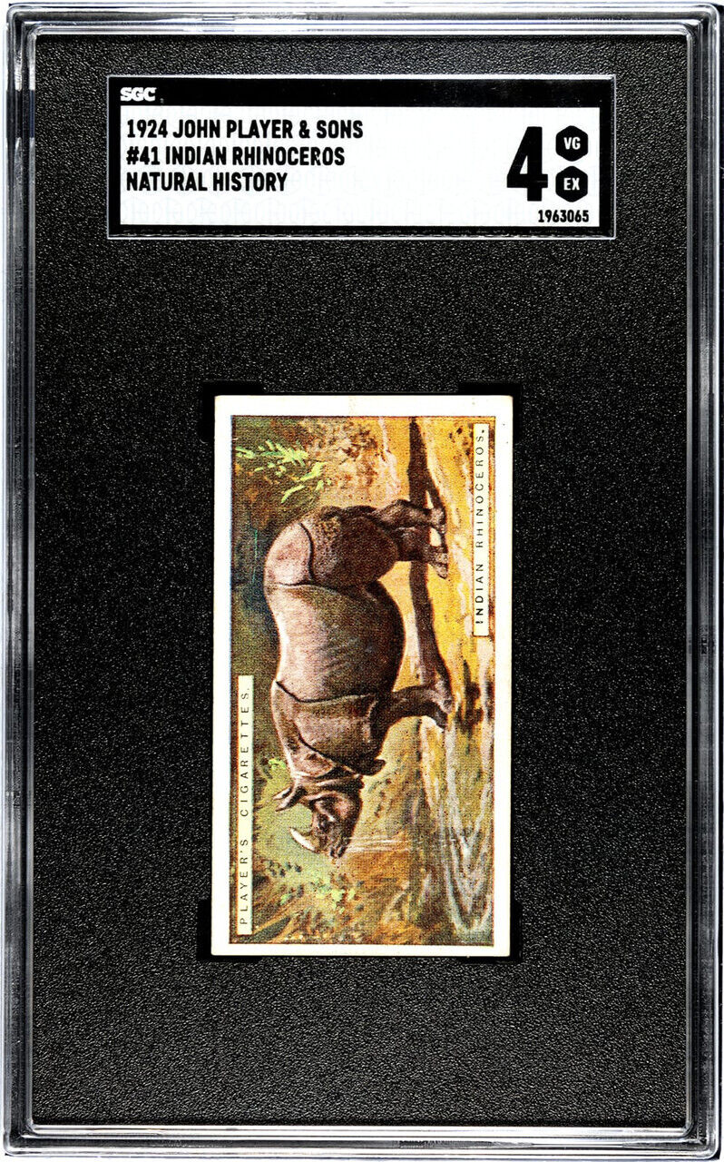 1924 John Player & Sons Indian Rhinoceros #41 Natural History SGC 4