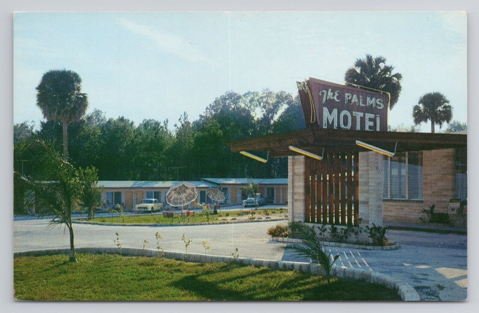 Postcard The Palms Motel South US Hwy Miles South Of Ocala Florida