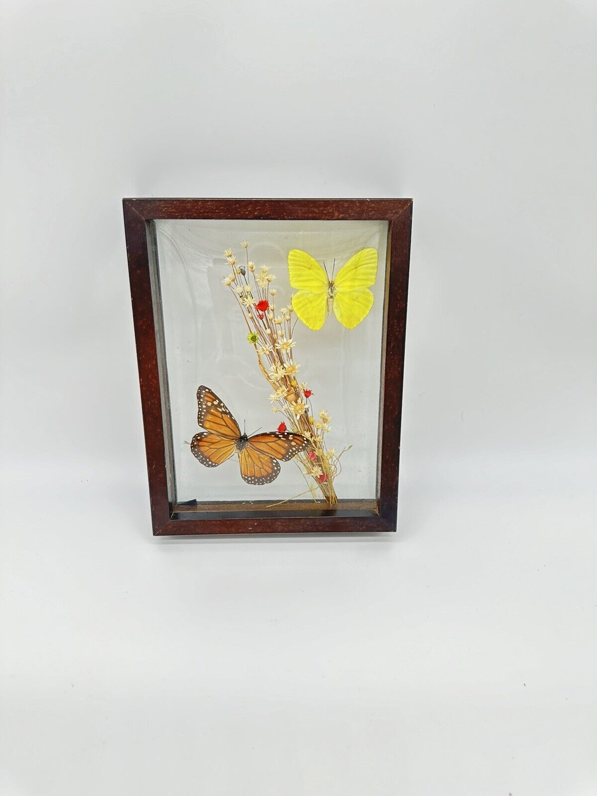 Vintage Wood Framed Glass Real Butterflies Dried Flowers Wall Art