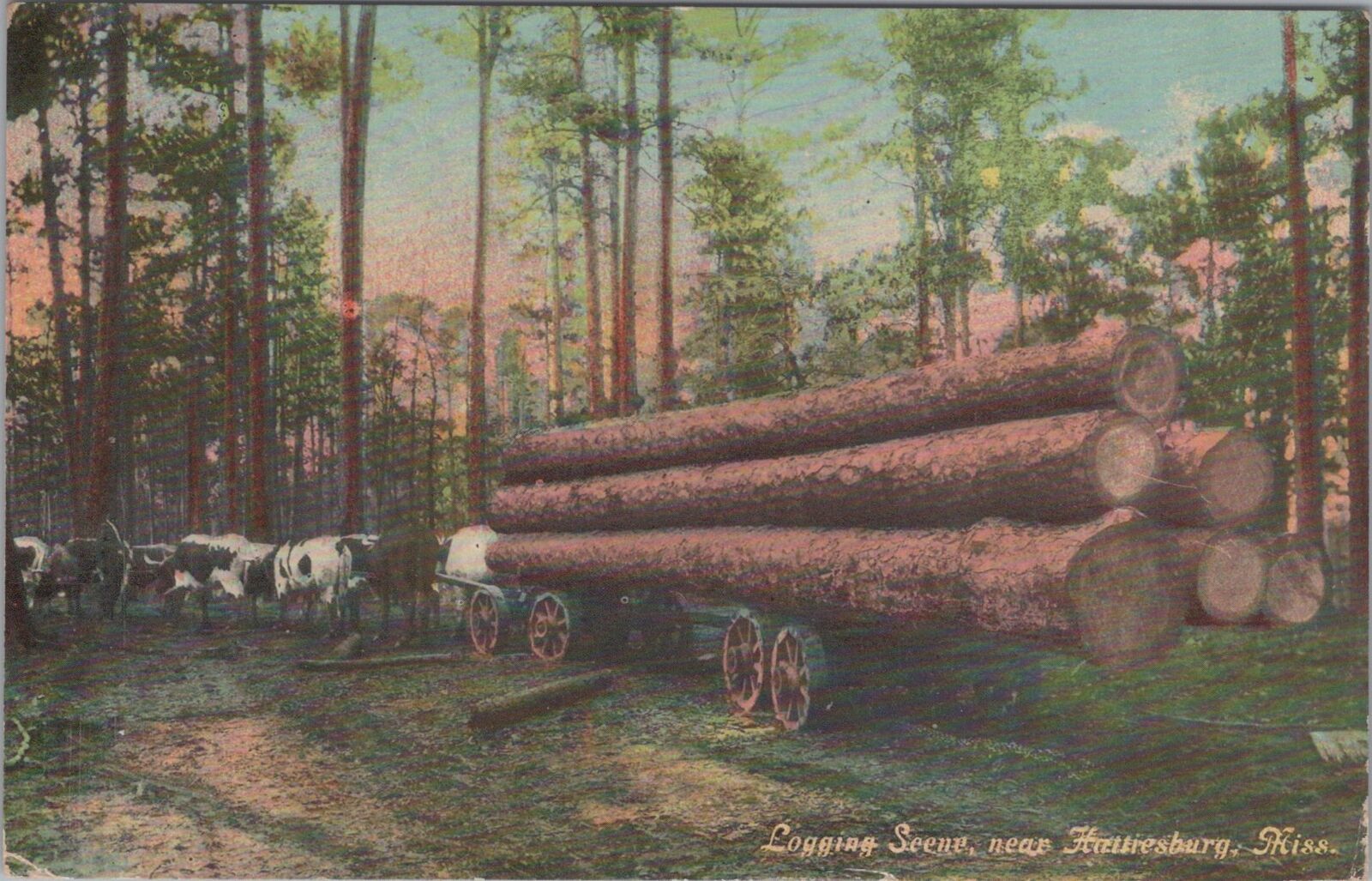 Logging Scene near Hattiesburg Mississippi 1912 Postcard