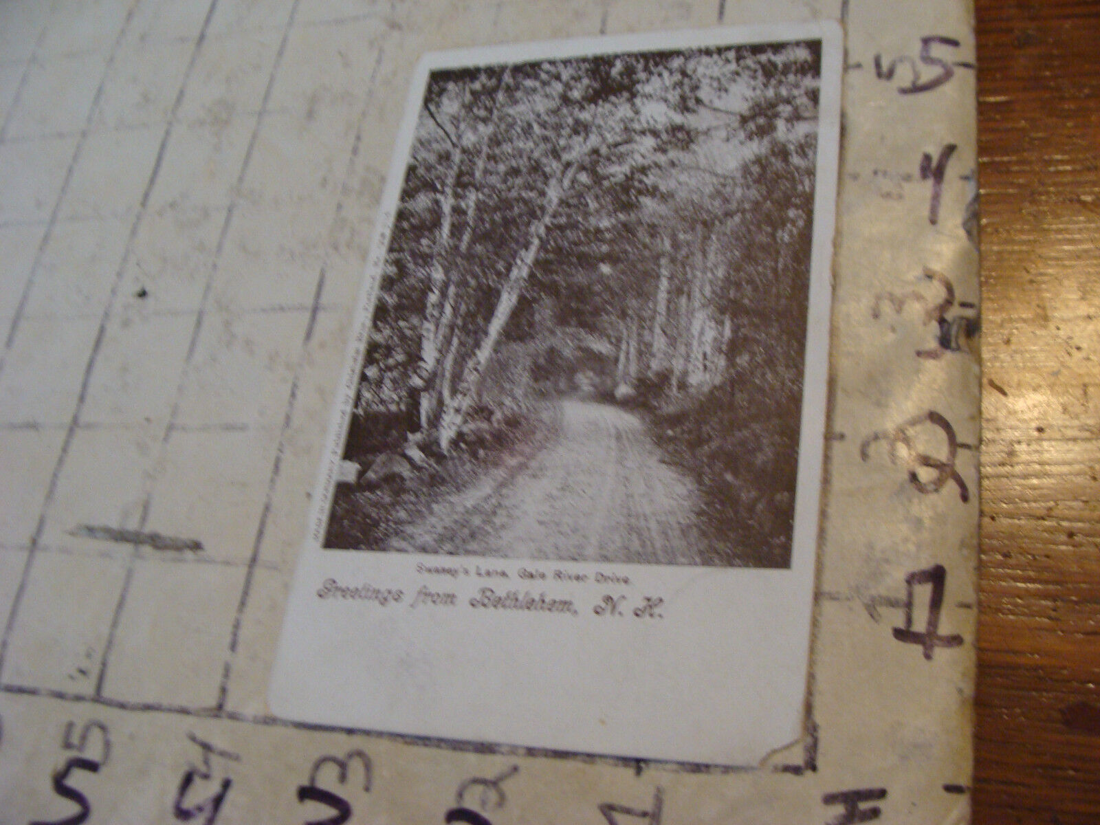 Orig Vint post card 1904 GREETINGS FROM BETHLEHEM swasey\'s lane, NH
