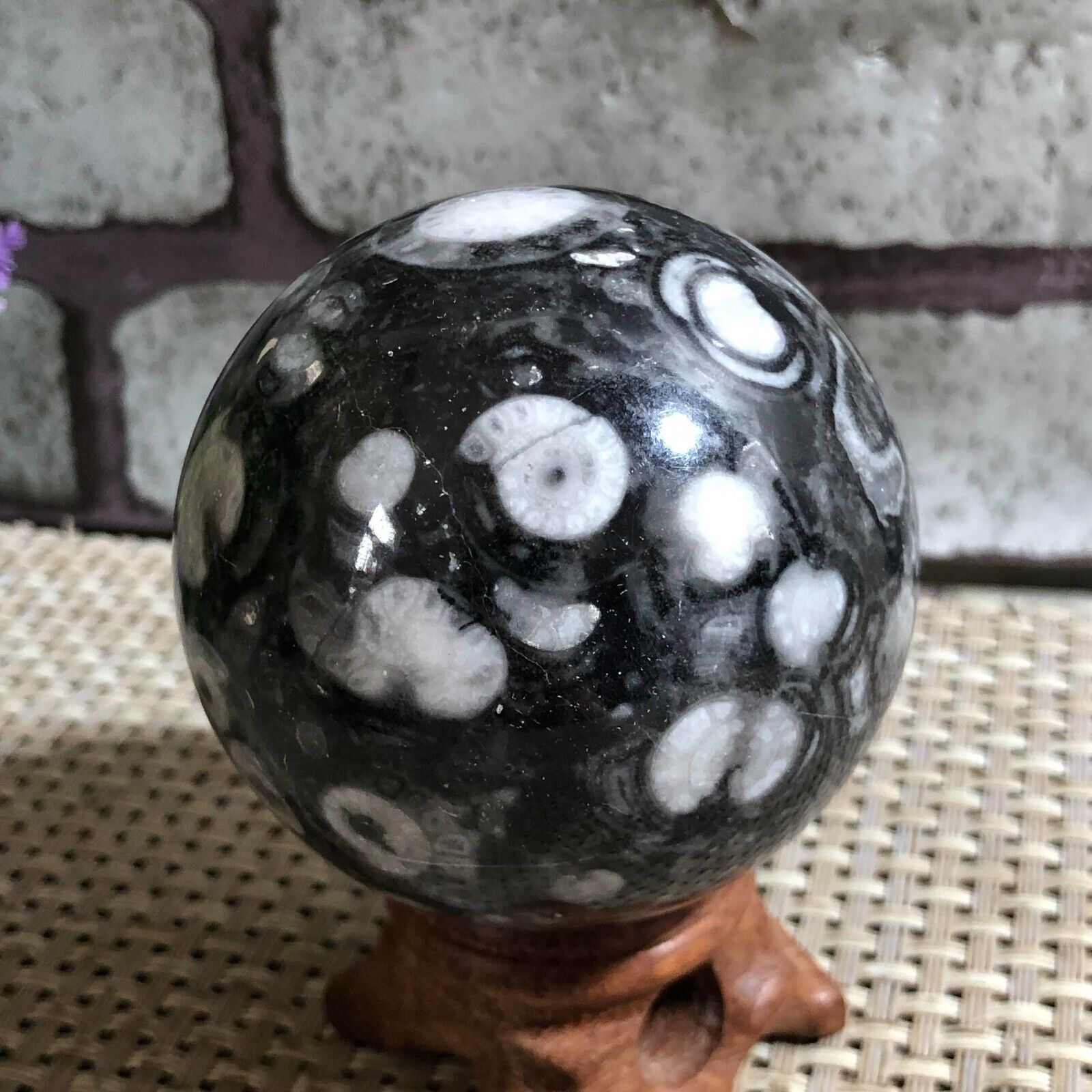 59mm 307g Rare natural Madagascar ammonia snail crystal ball stone treatment d20