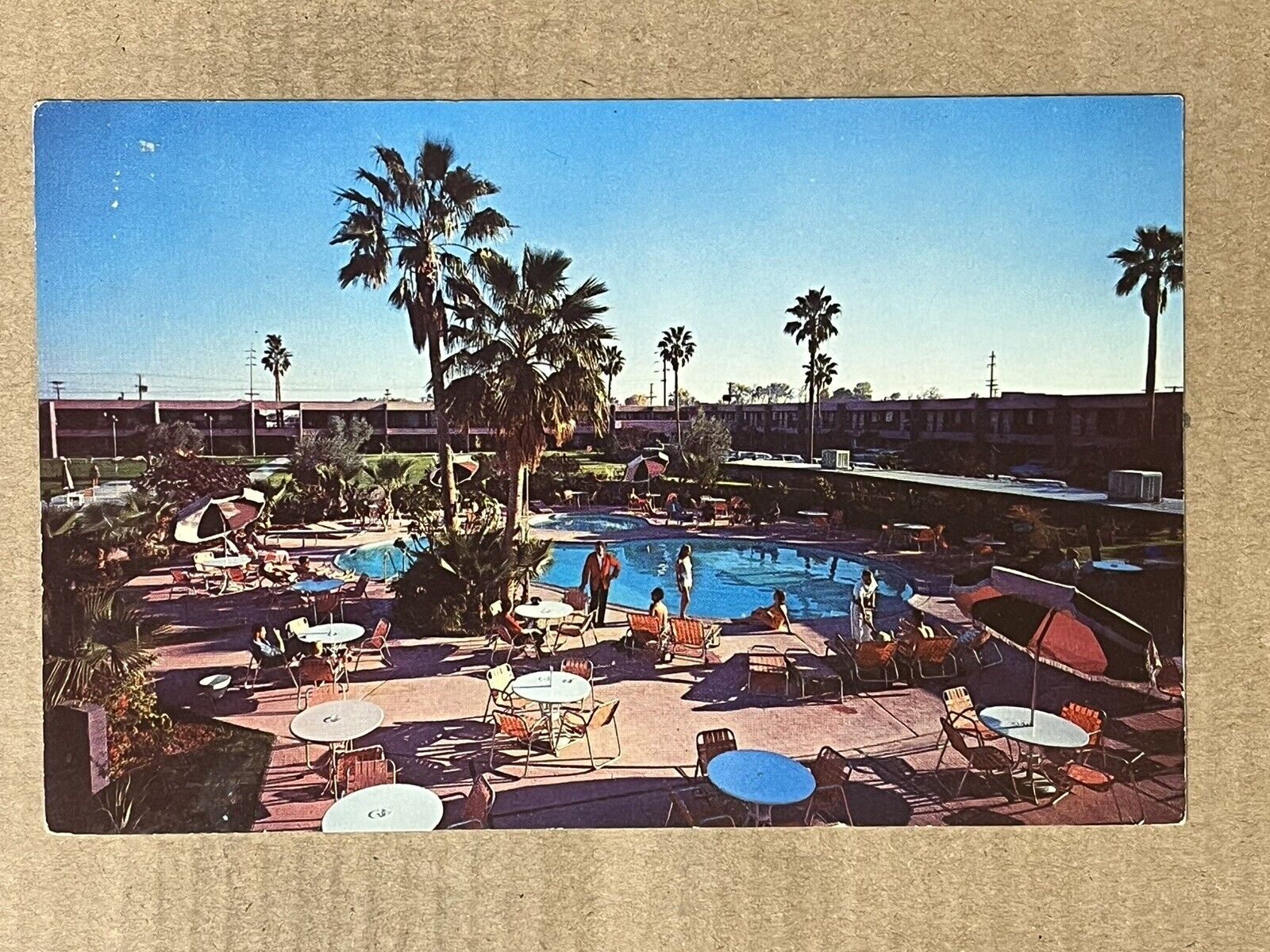 Postcard Scottsdale Arizona AZ Safari Hotel Pool Vintage Roadside PC