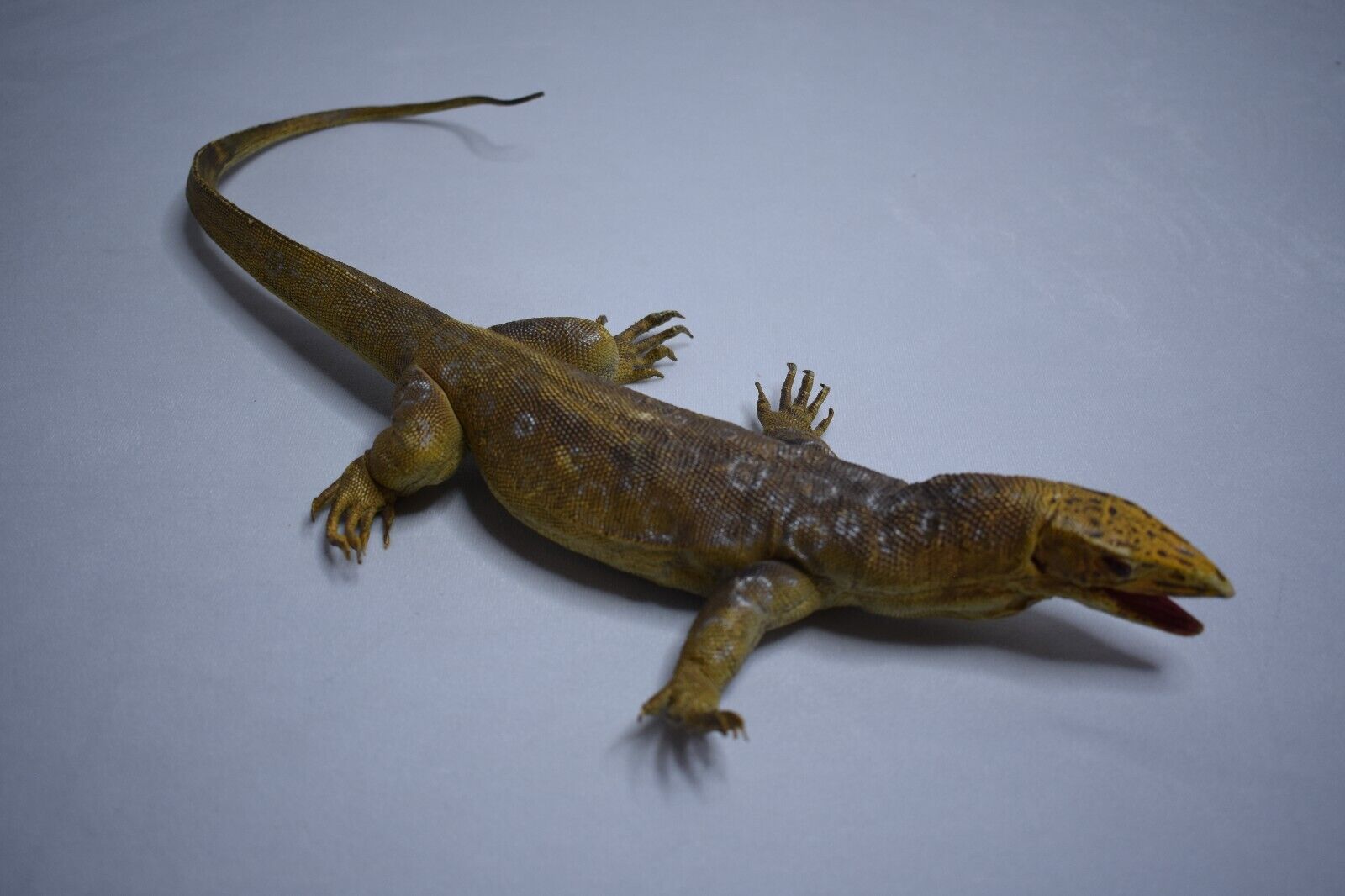 Desert Monitor Lizard Replica - Brown - AAA Realistic PVC