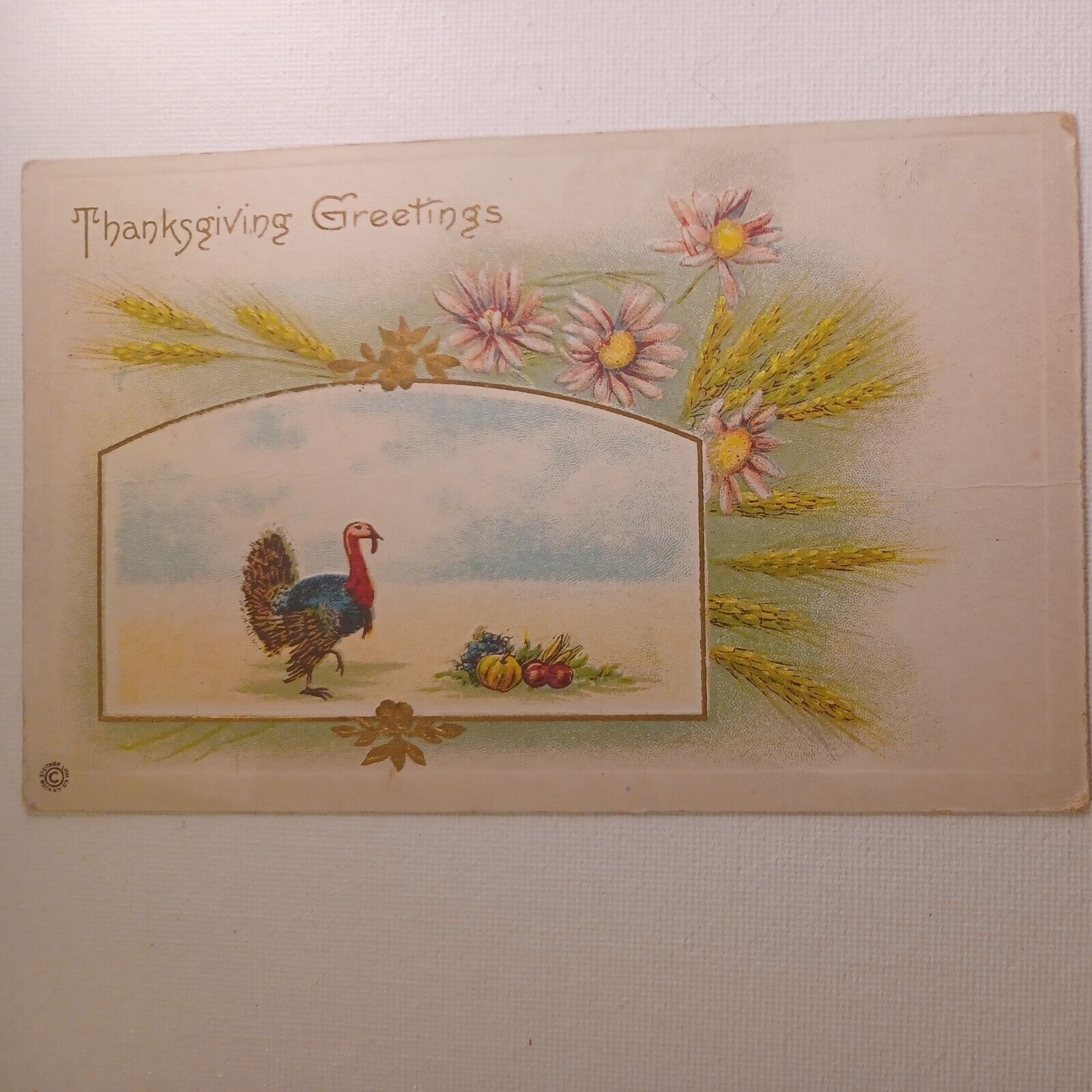 Thanksgiving Greetings Postcard Embossed Turkey Fall Pink Flowers Sent 1919 450B