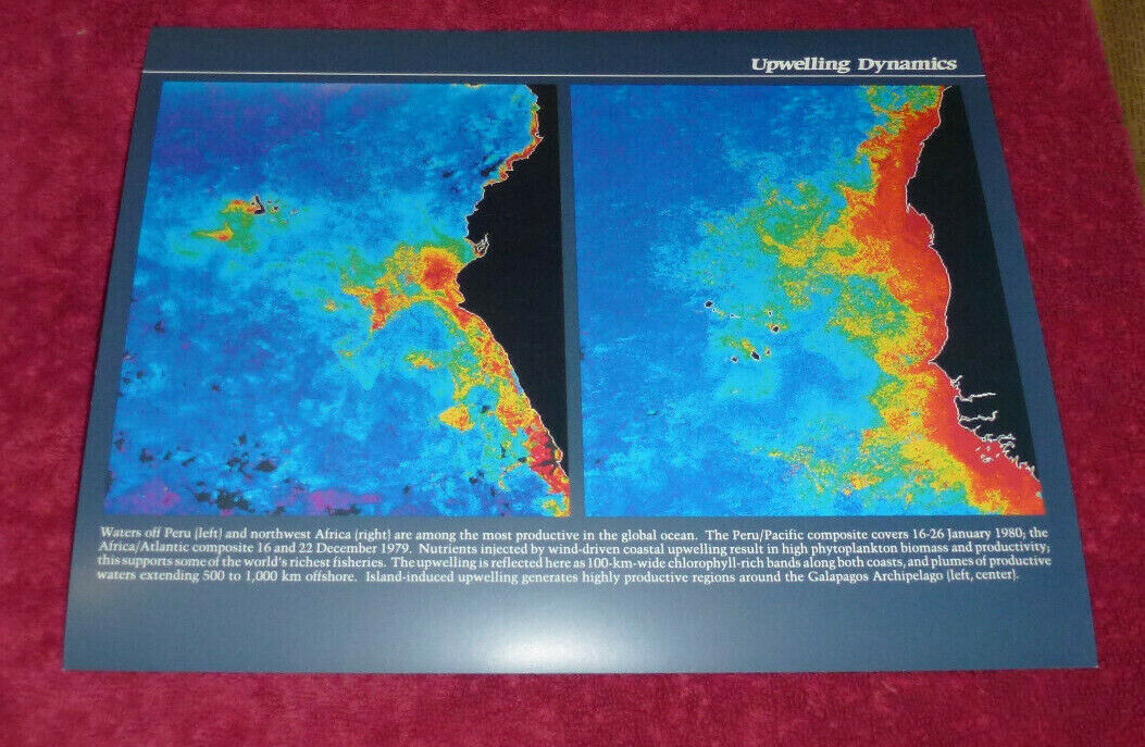 NASA Nimbus-7 Coastal Zone Color Scanner Upwelling Dynamics Photo