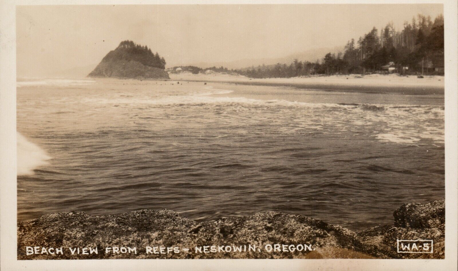 Beach View From Reefs Neskowin Oregon Postcard 1930-1942 DOPS