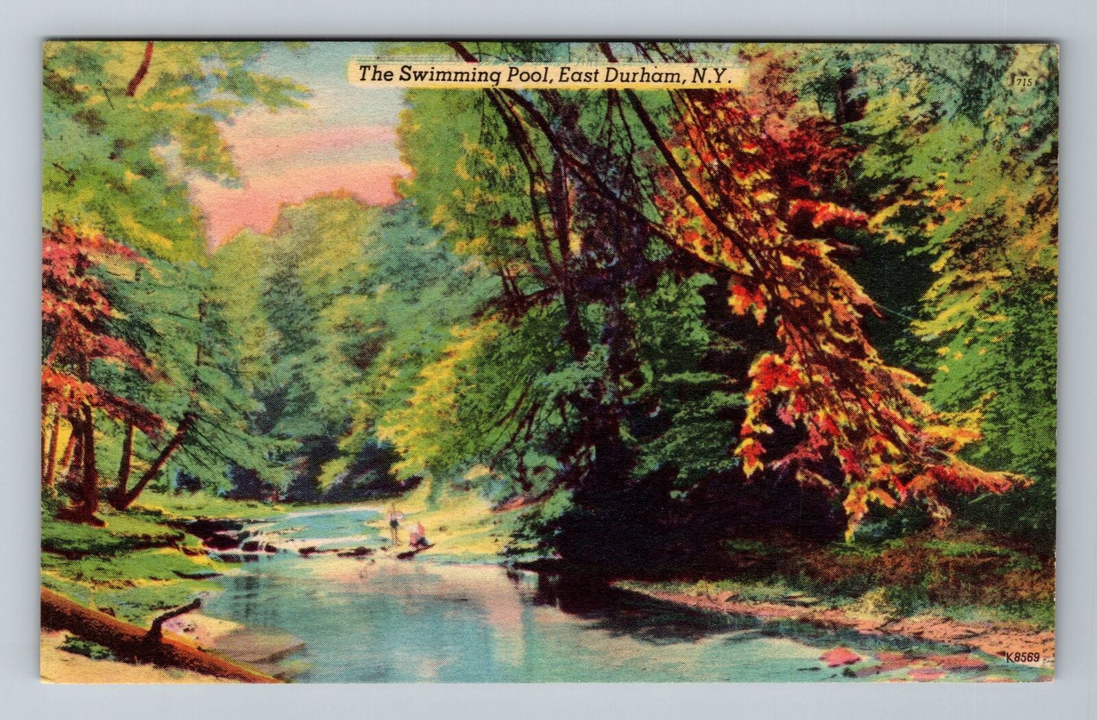 Durham NY-New York, The Swimming Pool, Vintage Postcard