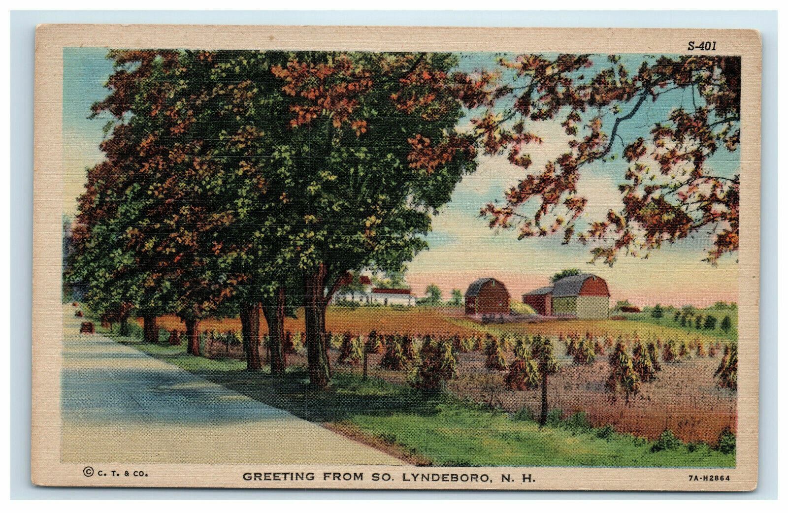 South Lyndboro NH Greetings From Postcard Lyndeborough w/ Cancel Postmark