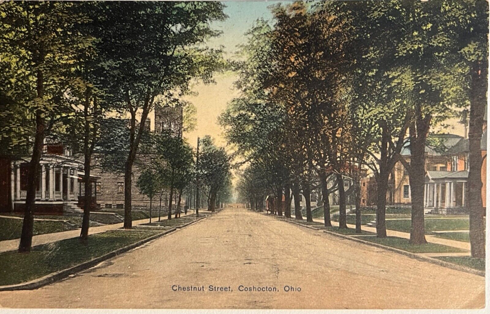 Coshocton Ohio Chestnut Street View Historic Antique Postcard c1910