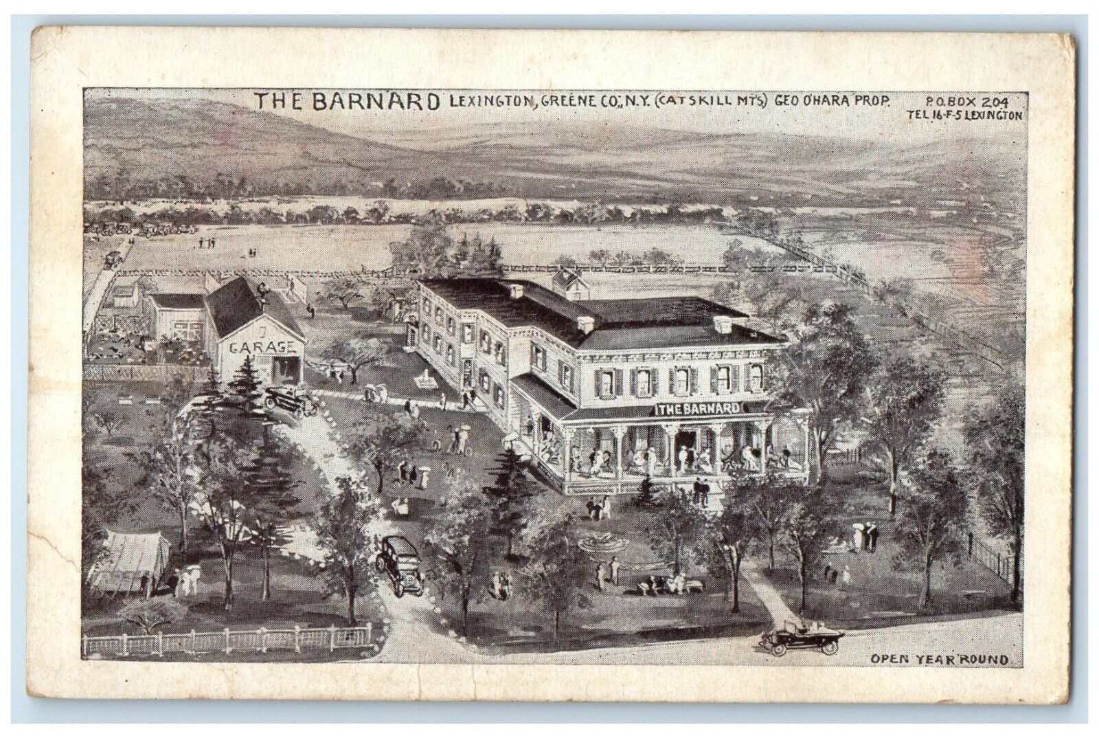 c1910's The Barnard Lexington Greene Co. NY Catskill Mts. Antique Postcard