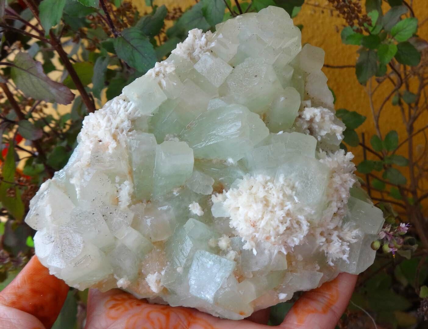 Lite Green Apophyllite On Mordenite Minerals Specimen Z=7