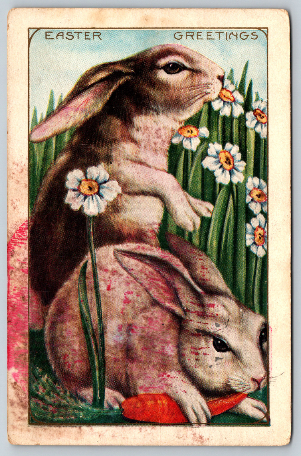 c1910s Easter Greetings Rabbits Bunnies Carrot White Flowers Antique Postcard