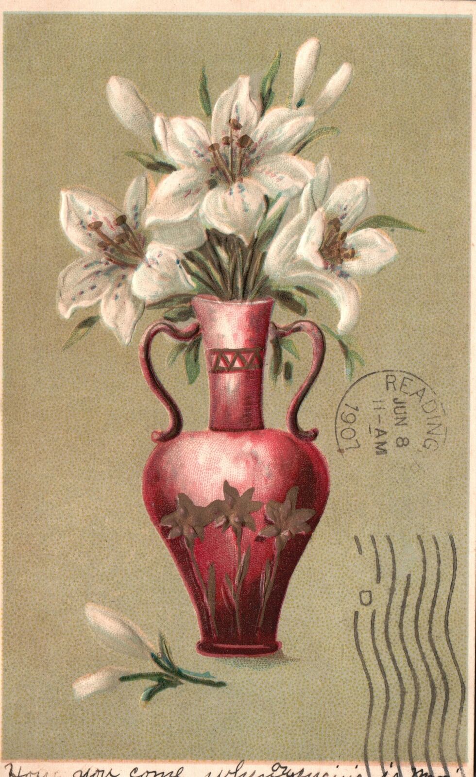 1907 Portrait of Beautiful White Flowers in Red Vase Art Decor Vintage Postcard